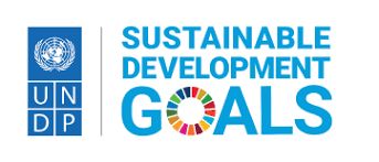 UNDP · Sustainable Development Goals